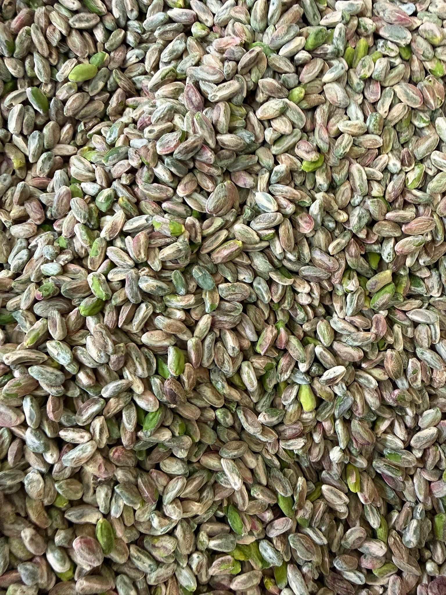 KERNEL 2